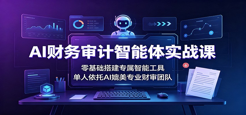 AI财务审计智能体实战课：零基础搭建专属智能工具，单人依托AI媲美专业财审团队-Selene网创网